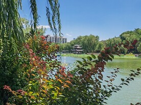 公园风景 