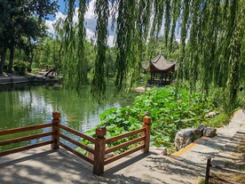 公园风景