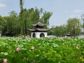 公园风景 