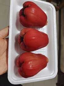 莲雾