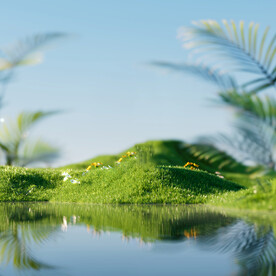 绿色草地背景