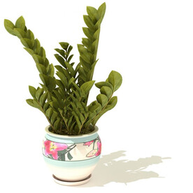  C4D模型 绿色植物