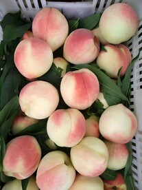 水蜜桃