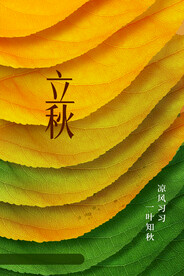 立秋节气