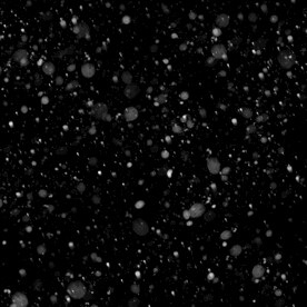 雪花粒子