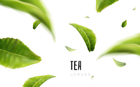 茶叶创意背景
