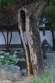 公园风景 