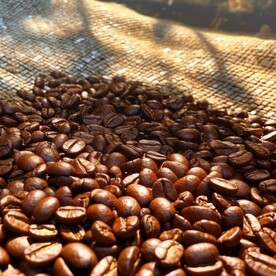 咖啡豆 