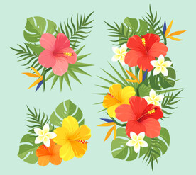 鲜花插画