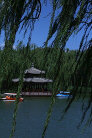 公园风景