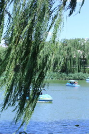 公园风景