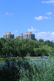 公园风景