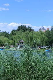 公园风景 