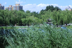 公园风景 