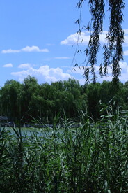 公园风景 