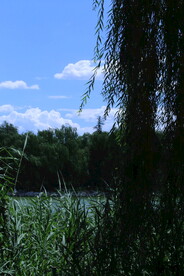 公园风景