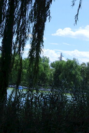 公园风景 