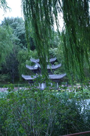 公园风景 
