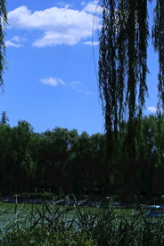 公园风景