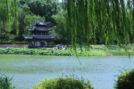 公园风景