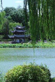公园风景 