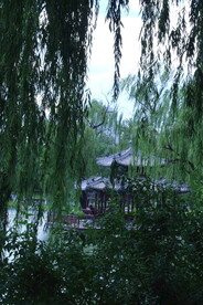 公园风景 