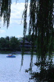 公园风景