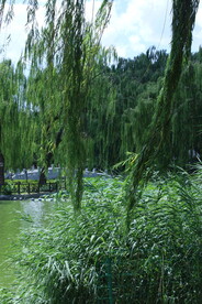 公园风景