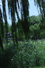 公园风景 
