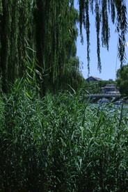 公园风景