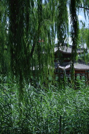 公园风景 