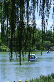 公园风景 