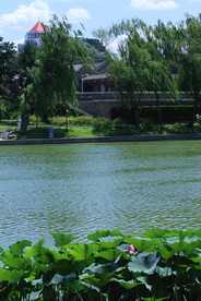 公园风景