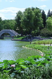 公园风景 