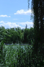 公园风景 