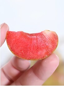 黑布林