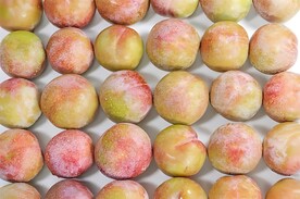黑布林