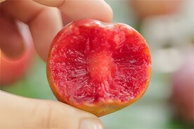 黑布林