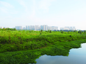 湖边  城市
