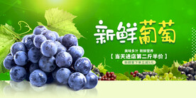 葡萄