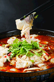 酸菜鱼图片素材