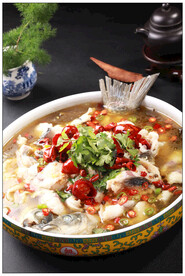 酸菜鱼图片素材