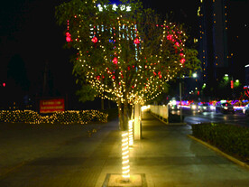 过年 灯花