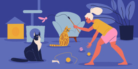 猫和小女孩互动场景