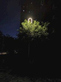 LED路灯