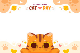 猫图片