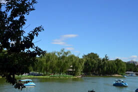 公园风景 