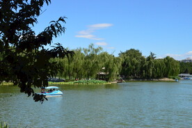 公园风景