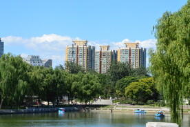 公园风景 