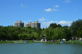 公园风景 